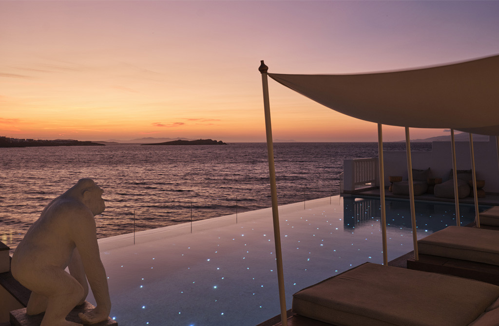 Poolside Perfection